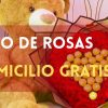 Ramo de rosas rojas en forma de corazón con peluche de oso y promoción de domicilio gratis, Floristería Angeluz Cali. Ramo de rosas rojas en forma de corazón con peluche de oso y promoción de domicilio gratis, Floristería Angeluz Cali
